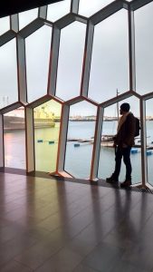 Reykjavik Harpa Concert Hall