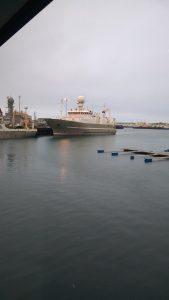 Reykjavik Travel Review