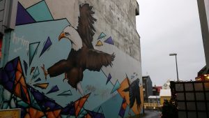 Reykjavik City Break Review