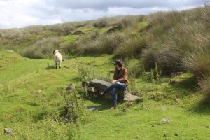 Haworth-Moors