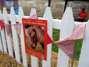 Electric-Picnic-Festival-My-Lovely-Horse-Rescue