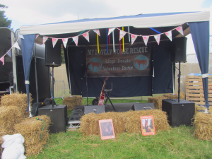 Electric-Picnic-Festival-My-Lovely-Horse-Rescue