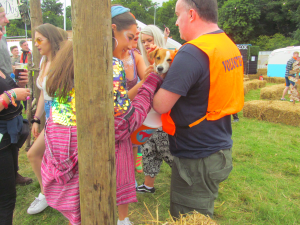 Electric-Picnic-Festival-My-Lovely-Horse-Rescue