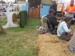 My Lovely Horse Animal Sanctuary Electric Picnic