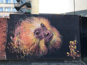 Belfast Street Art Walking Tour