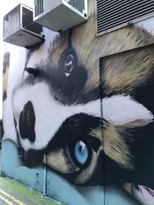 Belfast Street Art Walking Tour