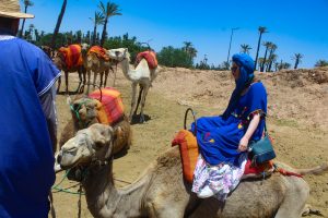 Marrakech Camel Ride