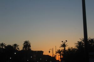 Marrakech Travel